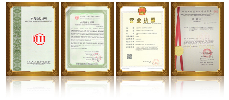 Ageruo Certificate