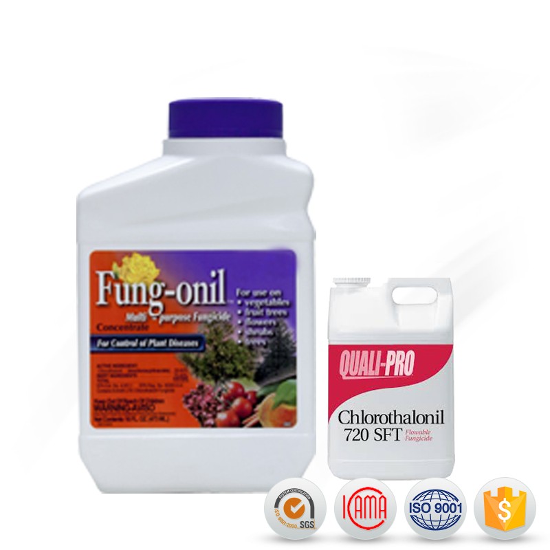 Professional price chlorothalonil 75 wp with high quality